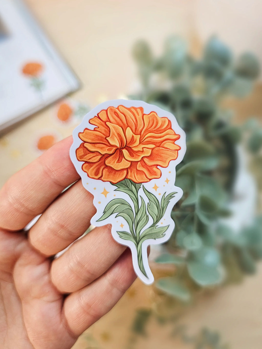 Mirror & Muse Mail Club